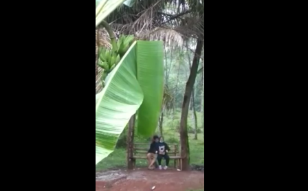 Step By Step How To Effectively Viral Indo Terbaru Menulis Cerita Di Cahaya Redup